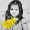 Family Photography